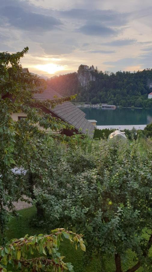 Villa Anna Bled Bagian luar foto